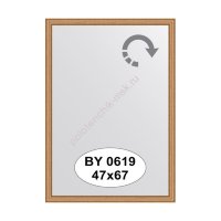 Зеркало в багетной раме Evoform BY 0619 (47х67 см)